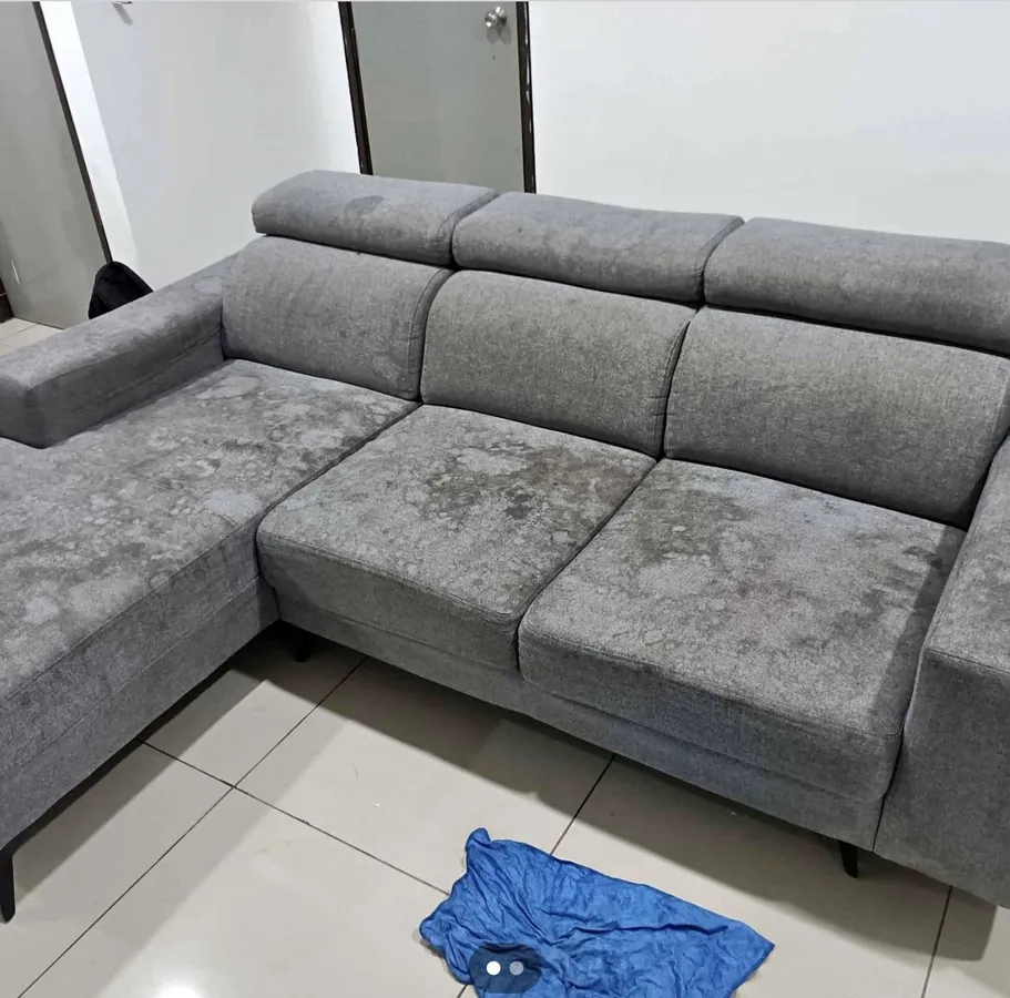 Sofa mattress cushion cleaning